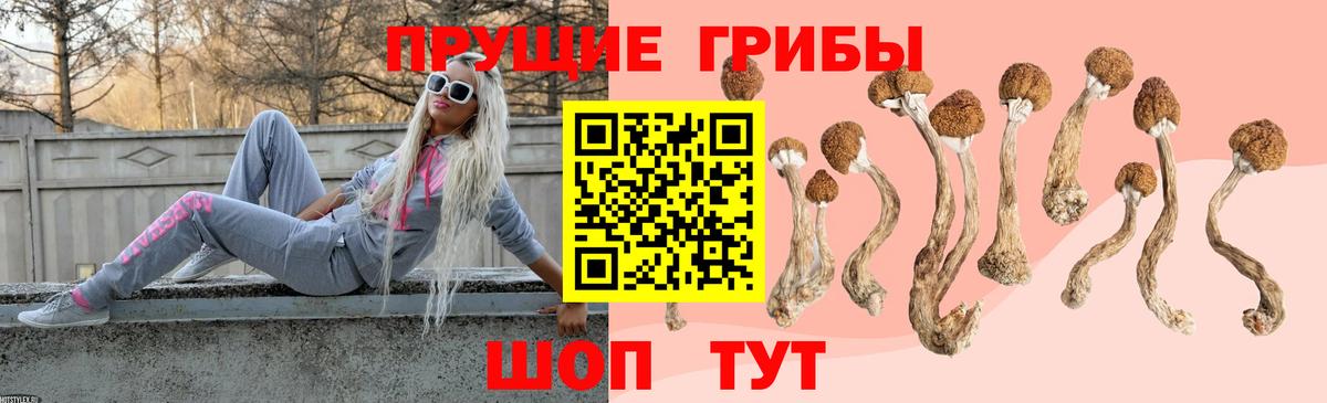 Галлюциногенные грибы Psilocybine cubensis  Галлюциногенные грибы мицелий  Гусь-Хрустальный  Вход с VPN 