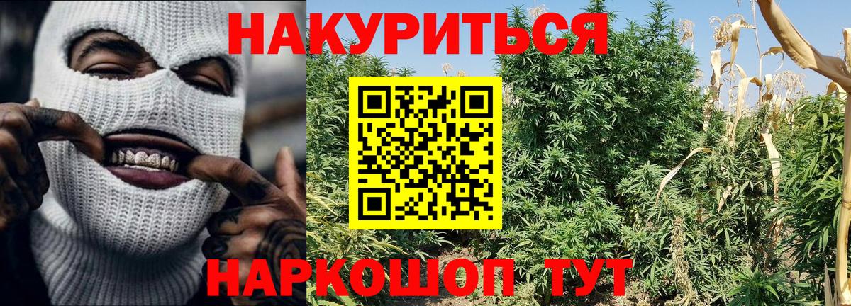 Конопля VHQ  Бошки марихуана индика  Гусь-Хрустальный  Каннабис марихуана  Вход с VPN 